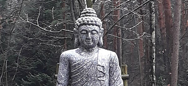 Met aandacht lopen | Toegepast Boeddhisme